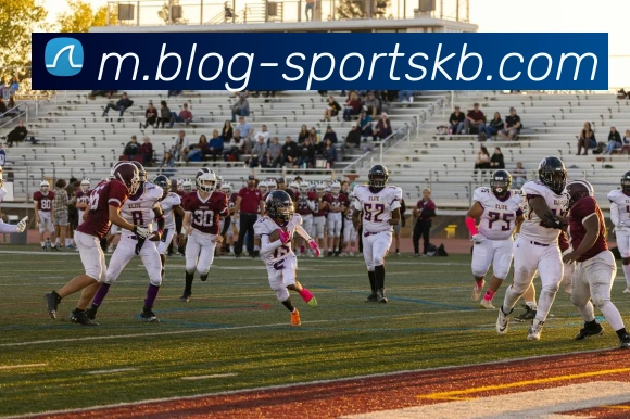 KB体育发展历程